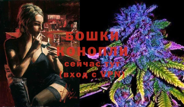 PSILOCYBIN Баксан